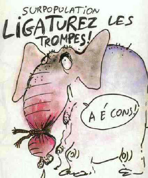 Ligature 0001-humourenvrac